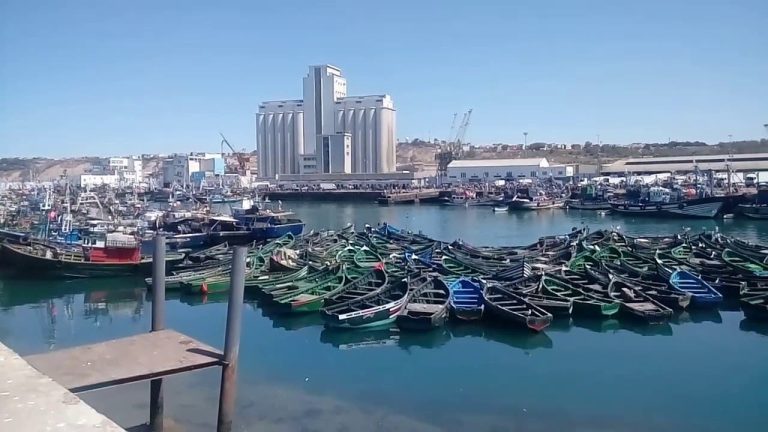 Découverte d'un crâne humain au port d'Asfi alerte les autorités de sécurité