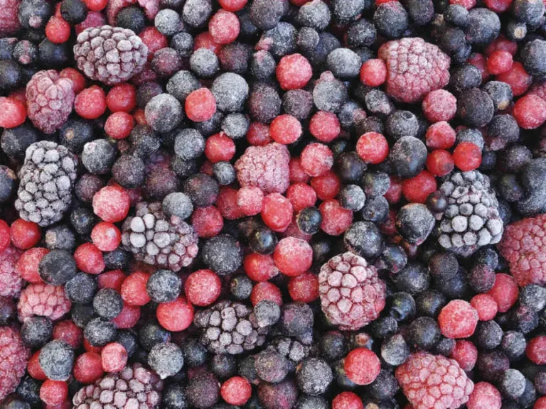 Le Maroc enregistre un record d'exportations de framboises surgelées vers la France