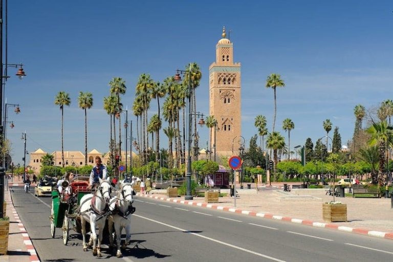 Championnats du monde de billard 2026 : La sélection marocaine s’illustre à Marrakech