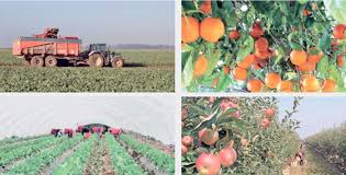 HCP: Le regain des activités agricoles, favorisé par une hausse de 57% du cumul pluviométrique