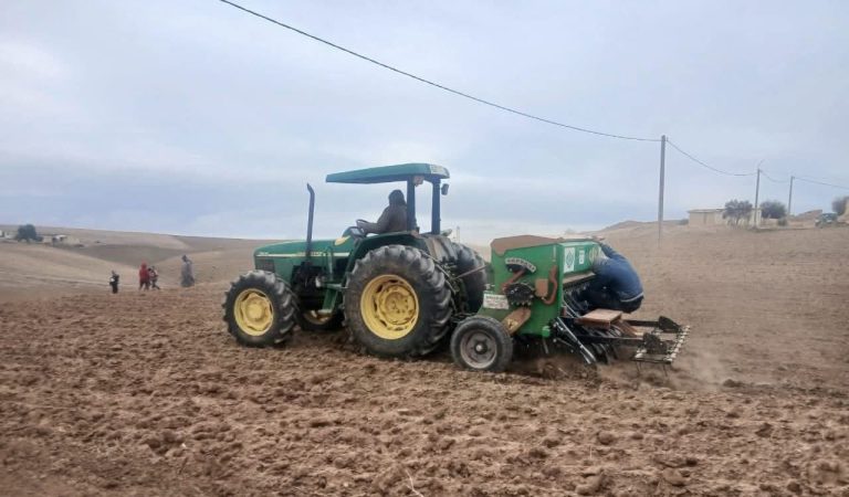 Oujda : Renforcement de la technique du "semis direct" pour faire face aux défis climatiques