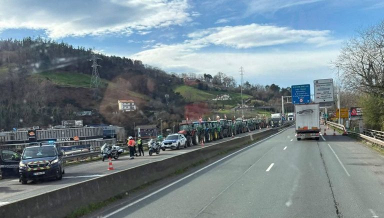 Les manifestations des agriculteurs continuent de paralyser la circulation au passage d'Irun entre l'Espagne et la France