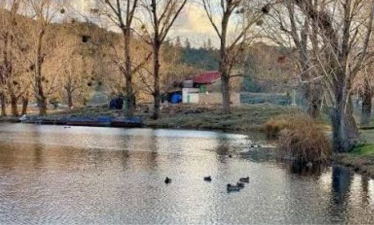 L'expertise du préfet en matière d'eau et de forêts redonne de l'espoir au parc national d'Ifrane