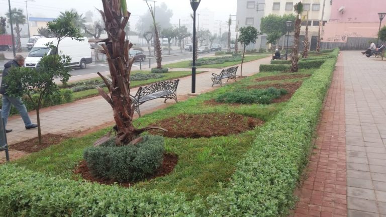 La préfecture d'Aïn Sebaâ à Casablanca alloue 4,5 millions de dirhams pour la réhabilitation des espaces verts