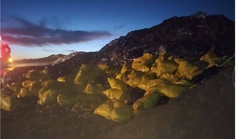 Kénitra.. Enterrement de 700 tonnes de volailles mortes à cause des inondations
