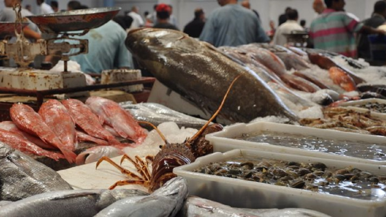 Source du Secrétariat d'État chargé de la pêche maritime : "L'approvisionnement des marchés en poisson se fait dans des conditions normales et de manière régulière"