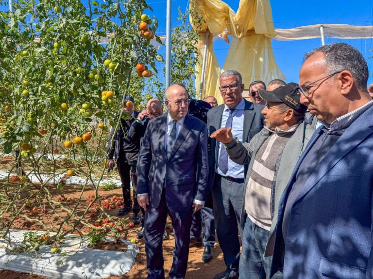Les agriculteurs de Souss entre promesses de soutien et réalité de l'attente… Où sont passés les responsables ?