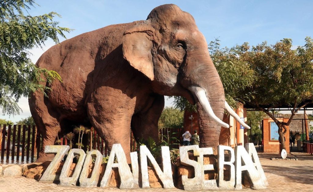 Le zoo d'Aïn Sebaâ accueille 22 000 visiteurs pendant les vacances de l'Aïd