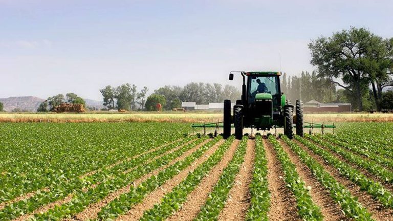 Les agriculteurs de la province d'El Jadida prévoient une saison exceptionnelle grâce aux pluies