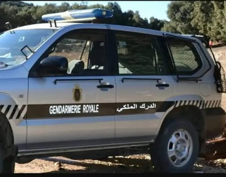 Fès.. Opération de sécurité de la gendarmerie se termine par le démantèlement d'un gang spécialisé dans le vol de motos