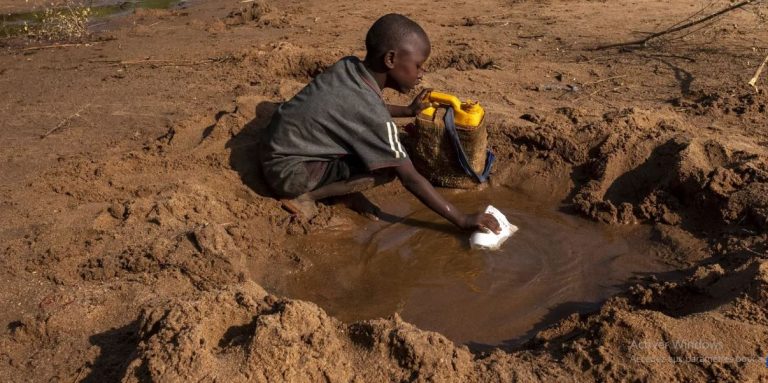 Favoriser l’émergence de nouvelles synergies: L'importance de l'Afrique pour l'Italie mise en exergue