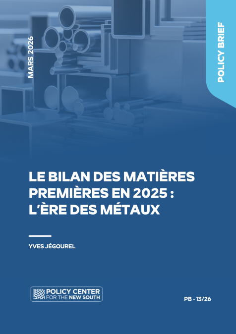 Le bilan des matières premières en 2025 : l'ère des métaux