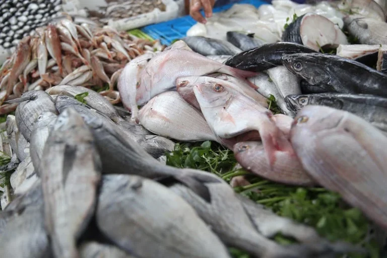 Malgré les conditions météorologiques difficiles, le port de Tan-Tan maintient la dynamique du marché aux poissons