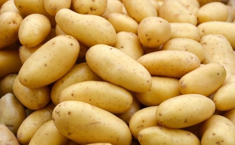 Augmentation choquante des prix des pommes de terre qui pèse sur les ménages marocains