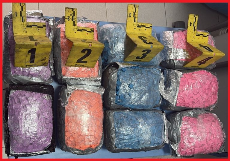 Échec d'une tentative de contrebande de plus de 19 000 comprimés d'ecstasy au port de Tanger Med