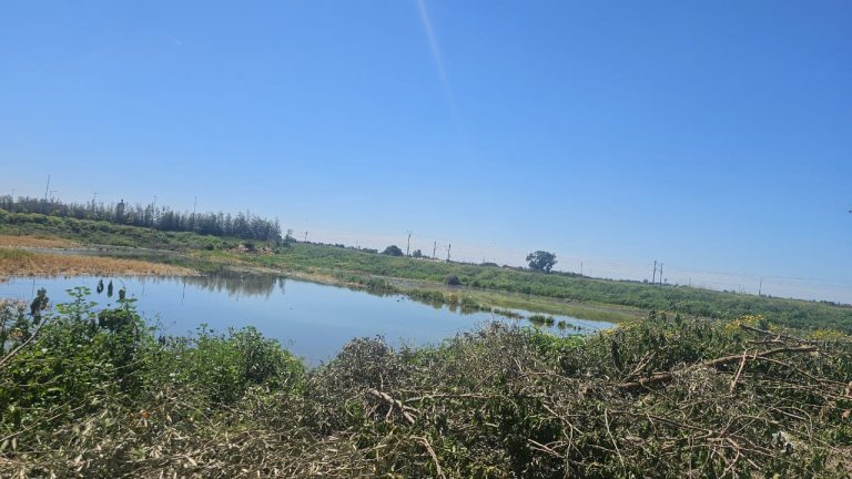 Odeurs nauséabondes et moustiques préoccupent les habitants des villas de Chawiya à Berrechid