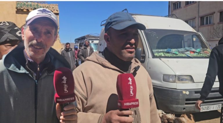 Ifrane.. Les prix des moutons de sacrifice au marché de Tamahdite entre 2500 et 5000 dirhams à l'approche de l'Aïd (vidéo)