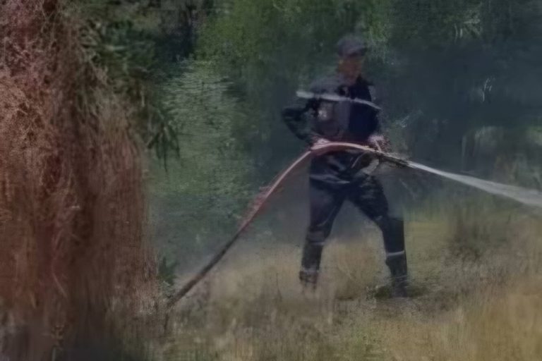 Ifrane.. incendie de forêt limité dans la commune d'Oued Ifrane