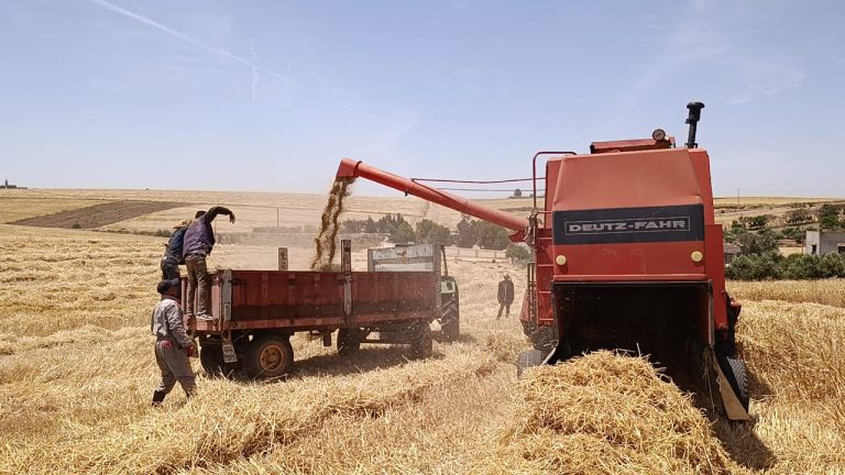 La Chaouia, grenier agricole du Maroc, entre le spectre des incendies et la légitimité du rapprochement des services de lutte contre l'incendie