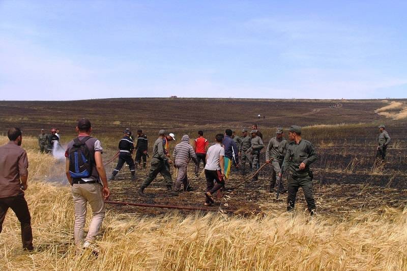Settat.. 5 incendies distincts ont dévoré plus de 10 hectares de cultures agricoles