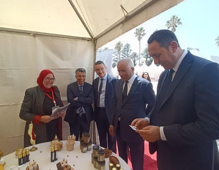 En présence du Wali, coordinateur national, Essaouira passe en revue le bilan des projets de l'Initiative Nationale pour le Développement Humain