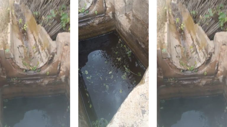 Nador.. Malaise à Akhoundouk après le constat du lavage de légumes à l'eau usée