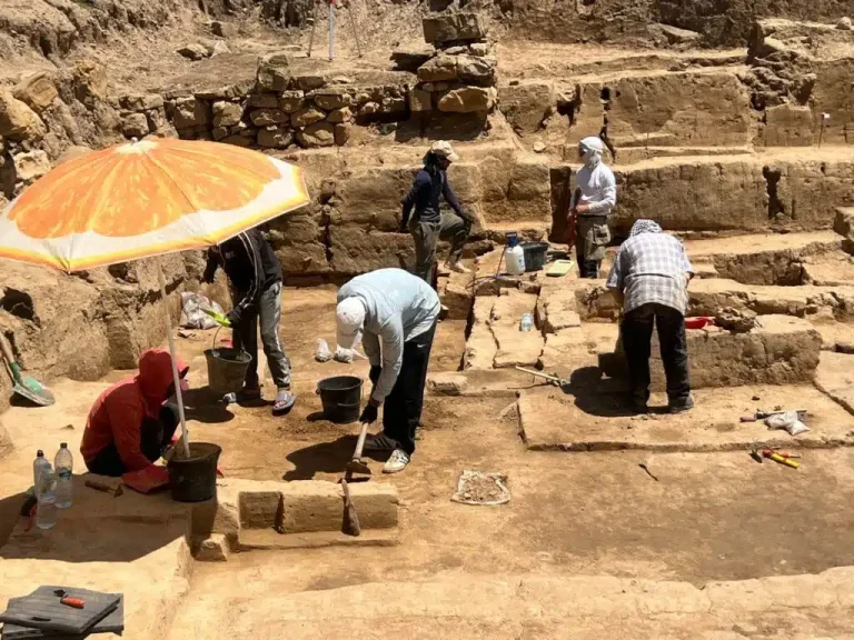 Des fouilles archéologiques révèlent des thermes publics et des installations viticoles sur le site de Righa, datant des époques maurétanienne et romaine