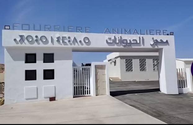 Oujda.. Un refuge pour chiens errants, un projet « prêt » qui attend son lancement