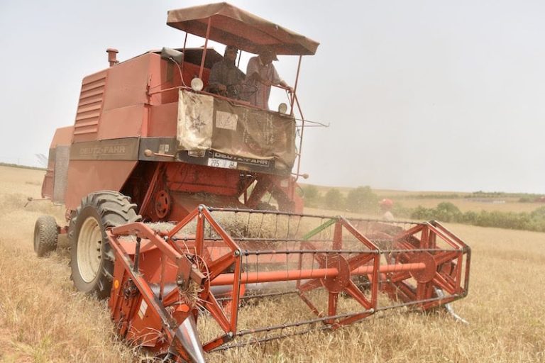 Drame dans la province de Berrechid.. Une moissonneuse met fin à la vie d'une personne dans une ferme