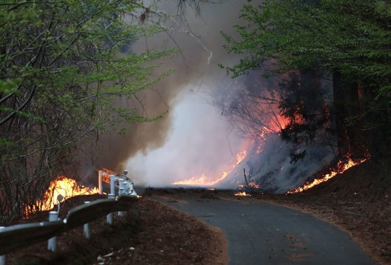 Japon : extinction du plus grand incendie de forêt depuis des décennies après une bataille de 11 jours
