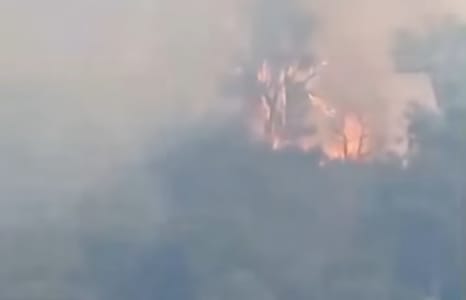 Un incendie de forêt massif consume des parties du mont Houda à Taza