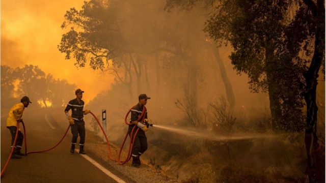 Cartes prédictives alertent sur de potentiels incendies de forêt dans plusieurs provinces