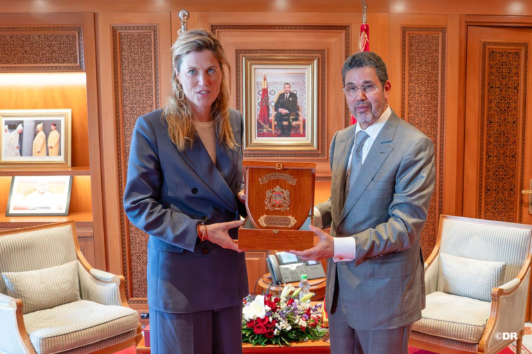 Mohamed Abdennabaoui s'entretient à Rabat avec la Ministre belge de la Justice