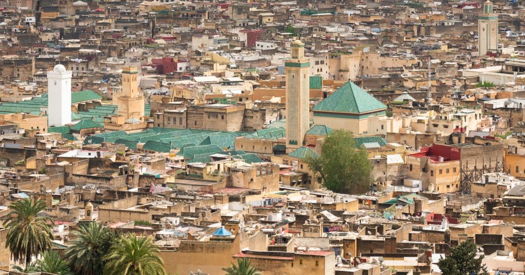 “La Médina Florissante” à Fès : Une exposition propose une réflexion sur la relation entre l’Homme et son environnement