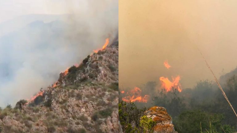 Incendie de forêt mobilise la Protection Civile et les Eaux et Forêts à Al Hoceima