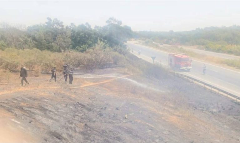 Kénitra.. une intervention rapide maîtrise un incendie de forêt sur la route de Camouny