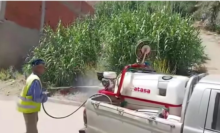 Campagne d'envergure à Ouezzane pour éliminer les insectes et les rats