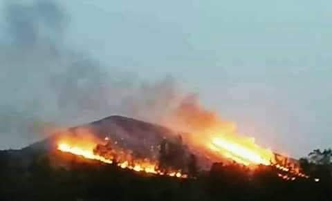 Incendie de forêt dans les montagnes de Taroudant et mobilisation massive des pompiers