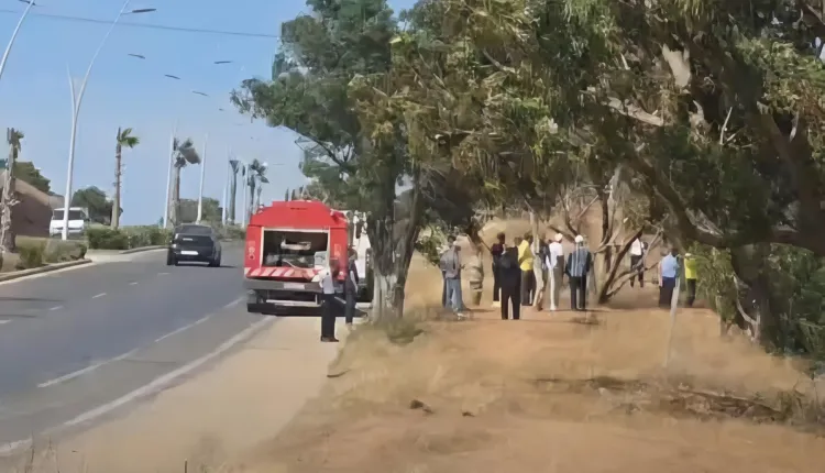 Course contre la montre... Les autorités continuent de maîtriser l'incendie de forêt entre Nador et Beni Ansar