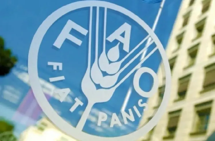Un responsable de la FAO : La vision royale est un pilier stratégique pour la souveraineté hydrique et alimentaire