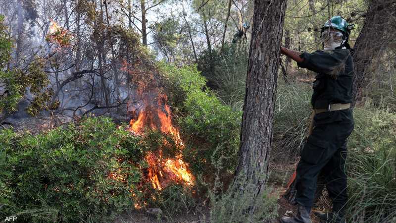Incendies dévastateurs ravagent l'Algérie... des dizaines de victimes et les médias officiels hors de portée