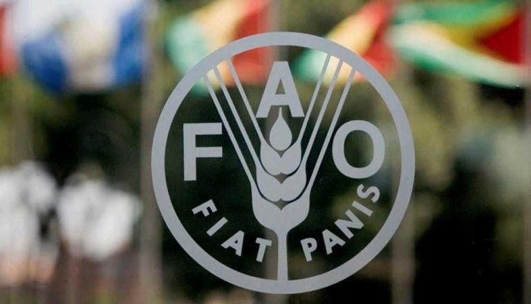 FAO : Baisse des prix alimentaires mondiaux pour le deuxième mois consécutif
