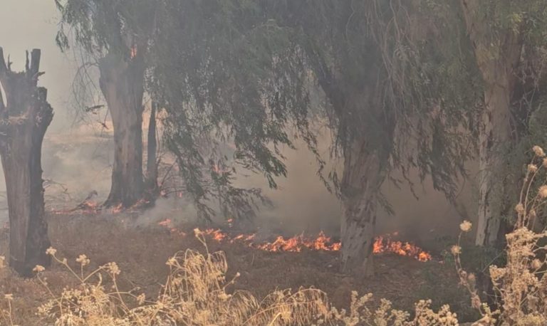 Fès.. un incendie de forêt aux alentours de la clinique Essaoualiki, la protection civile met les bouchées doubles pour l'éteindre