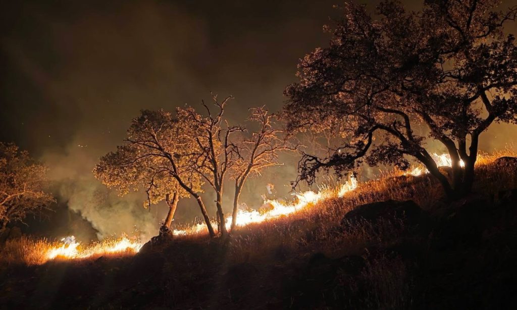Khénifra.. Efforts continus pour éteindre un incendie de forêt, la gendarmerie interroge le propriétaire d'une moissonneuse-batteuse