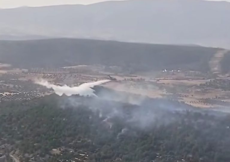 Safrou : Maîtrise totale de l'incendie de forêt à Ighzrane