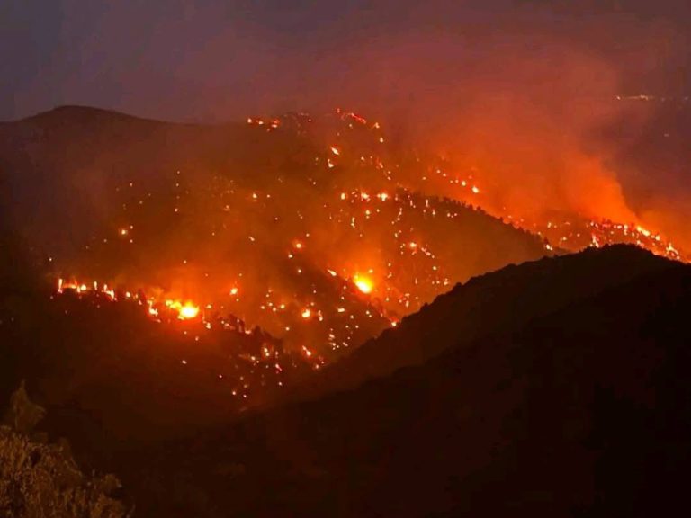 Les flammes dévorent de vastes étendues de la forêt de Ouijdane dans la province d'El Haouz