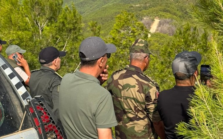 Intervention terrestre et aérienne pour maîtriser un incendie de forêt dans la banlieue de Tétouan
