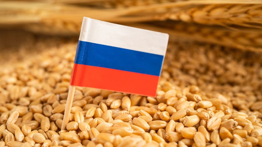 la Russie réactive sa taxe à l’exportation du blé: une baisse des importations projetée sur plusieurs marchés, notamment le Maroc