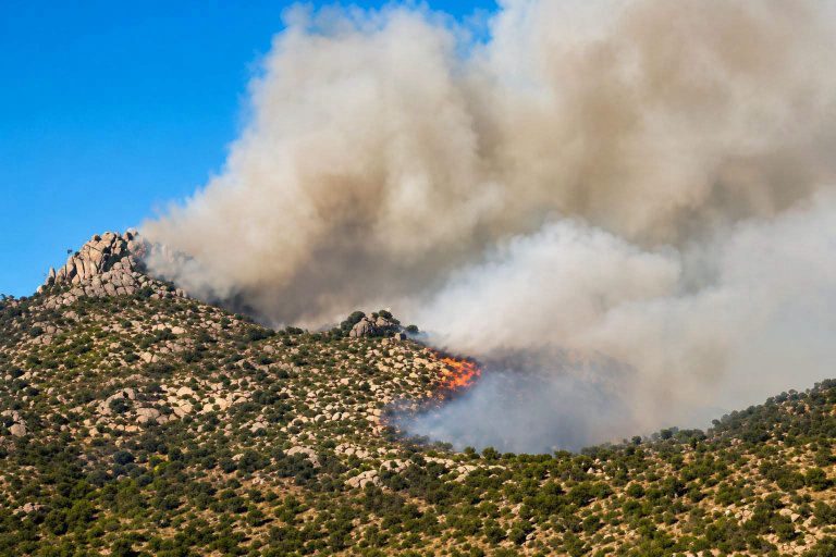 Khénifra.. un incendie de forêt menace la forêt de Bouhssous et mobilise la Protection civile et la Gendarmerie