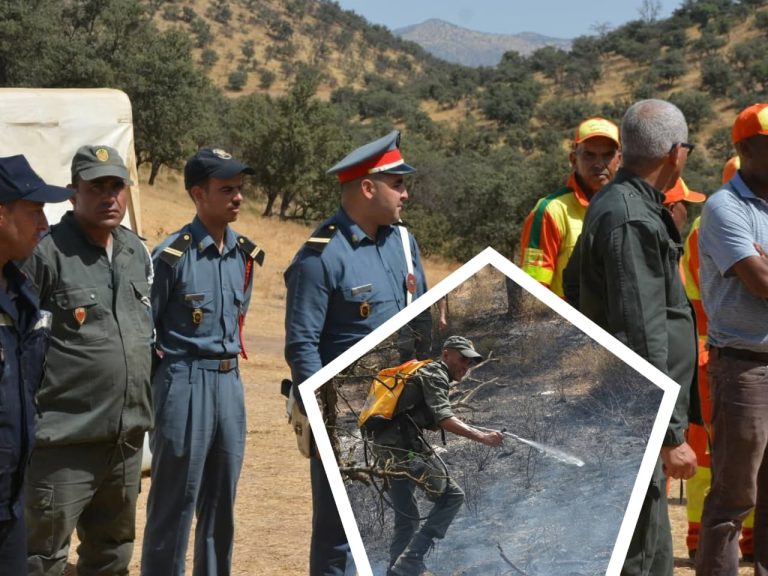Khénifra.. Maîtrise d'un immense incendie de forêt à Moulay Bouazza après avoir ravagé plus de 200 hectares